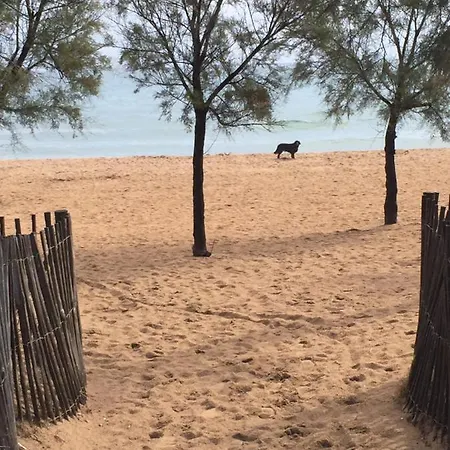 Strandhaus